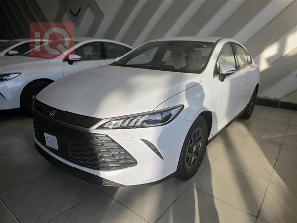 بي واي دي Qin Plus 2025 للبيع في العراق -  بغداد